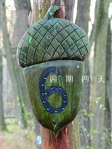 逾期四天息天八块算贵吗