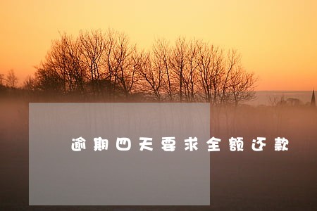 逾期四天要求全额还款