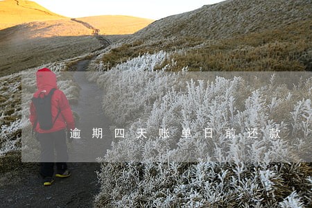 逾期四天账单日前还款 逾期四天账单日前还款