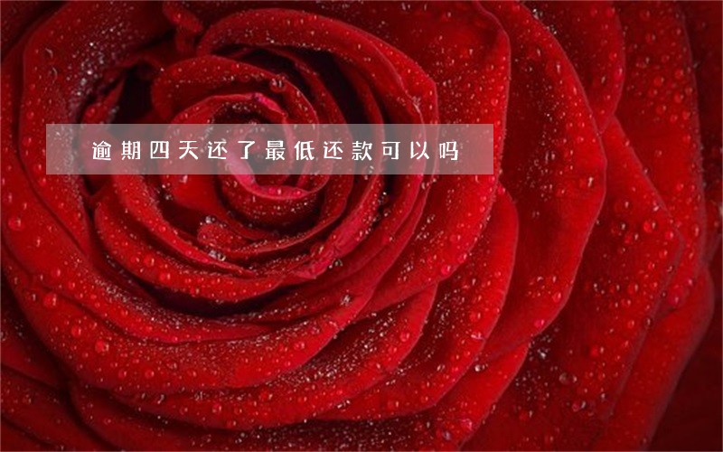 逾期四天还了最低还款可以吗