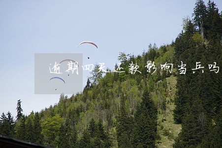逾期四天还款影响当兵吗