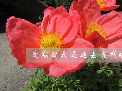 逾期四天还进去有影响吗 逾期四天还进去有影响吗