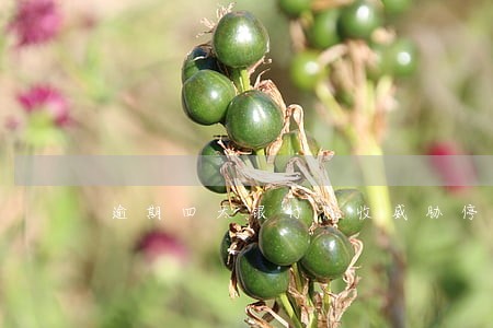 逾期四天银行催收威胁停卡