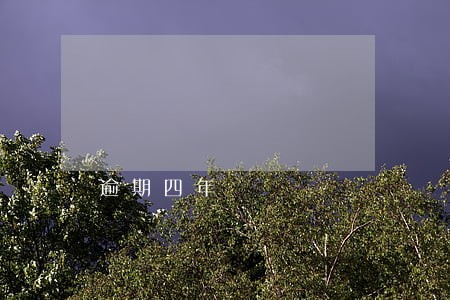逾期四年 逾期四年