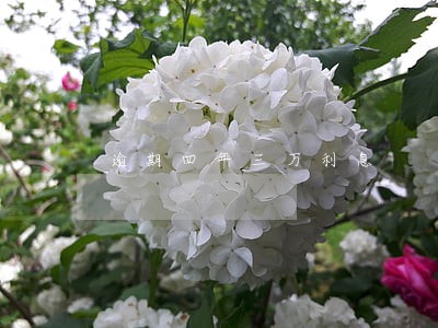 逾期四年三万利息 逾期四年三万利息