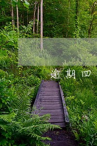 逾期四年了今天才接到电话通知 逾期四年了今天才接到电话通知