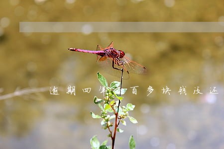 逾期四年五百多块钱没还没事吧