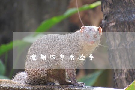 逾期四年未验车 逾期四年未验车