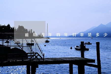 逾期四年的年利率是多少