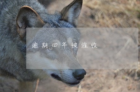 逾期四年被催收 逾期四年被催收