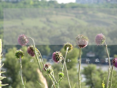 逾期四月如何补救最全方法在这里 逾期四月如何补救最全方法在这里