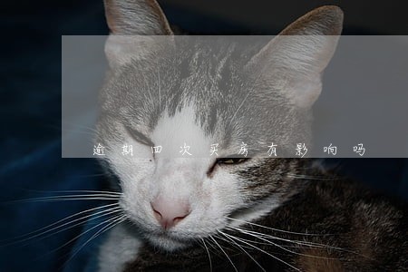 逾期四次买房有影响吗 逾期四次买房有影响吗