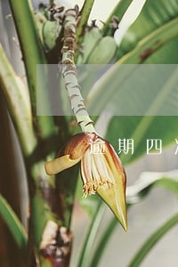 逾期四次房贷利率调整 逾期四次房贷利率调整