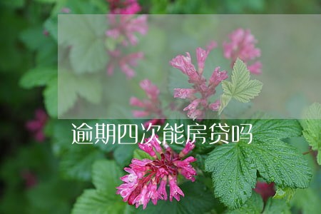 逾期四次能房贷吗 逾期四次能房贷吗