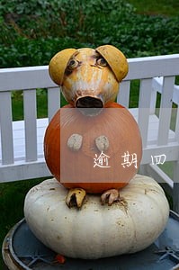 逾期四次还能办信用卡吗 逾期四次还能办信用卡吗