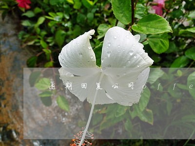 逾期回复公司offer 逾期回复公司offer