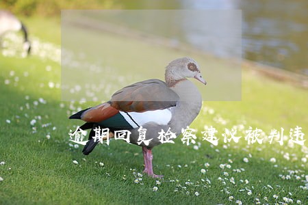 逾期回复检察建议被判违法 逾期回复检察建议被判违法