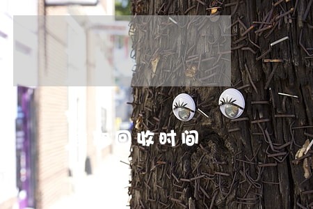 逾期回收时间 逾期回收时间