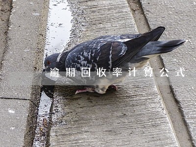 逾期回收率计算公式 逾期回收率计算公式