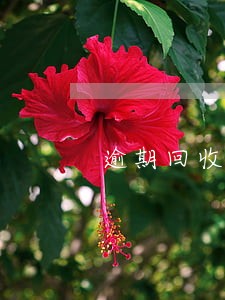逾期回收率计算方法 逾期回收率计算方法