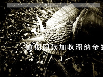 逾期回款加收滞纳金的通知 逾期回款加收滞纳金的通知