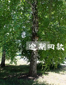 逾期回款合同 逾期回款合同