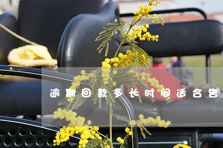 逾期回款多长时间适合告平台 逾期回款多长时间适合告平台
