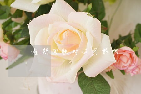 逾期回款对公司影响