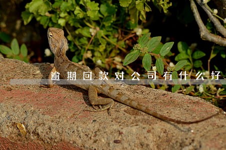 逾期回款对公司有什么好处 逾期回款对公司有什么好处