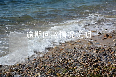 逾期回款情况说明 逾期回款情况说明