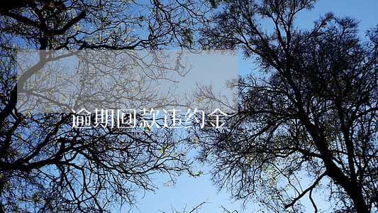 逾期回款违约金 逾期回款违约金