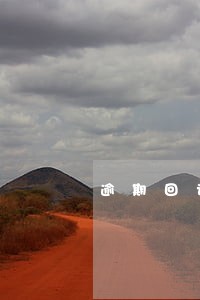 逾期回访真信息 逾期回访真信息