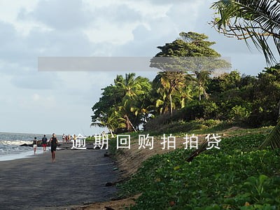 逾期回购拍拍贷 逾期回购拍拍贷