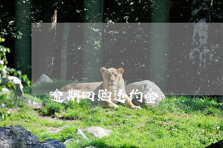 逾期回购违约金 逾期回购违约金