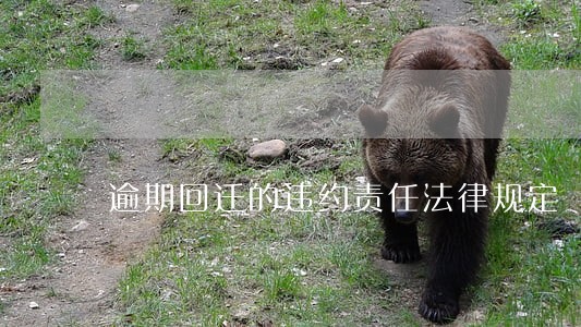 逾期回迁的违约责任法律规定 逾期回迁的违约责任法律规定
