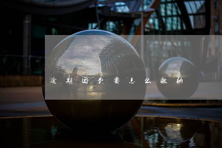 逾期团费要怎么缴纳