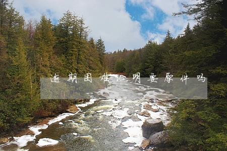 逾期困难证明要原件吗 逾期困难证明要原件吗