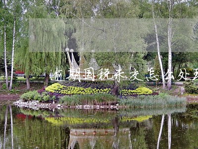 逾期国税未交怎么处理 逾期国税未交怎么处理