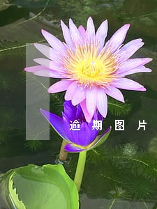 逾期图片8月 逾期图片8月