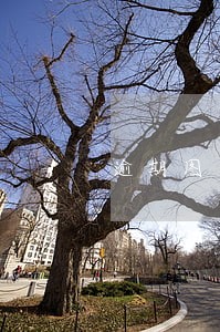 逾期图片制作 逾期图片制作