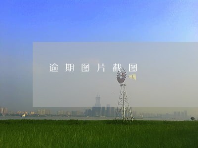逾期图片截图 逾期图片截图