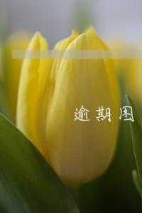 逾期图片截图最新 逾期图片截图最新