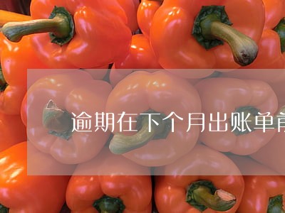 逾期在下个月出账单前全款 逾期在下个月出账单前全款