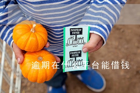 逾期在什么平台能借钱 逾期在什么平台能借钱