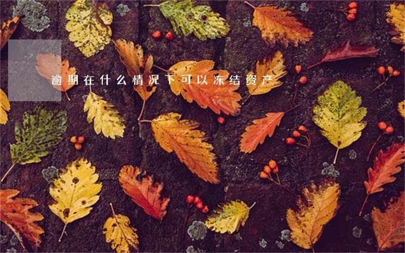 逾期在什么情况下可以冻结资产 逾期在什么情况下可以冻结资产