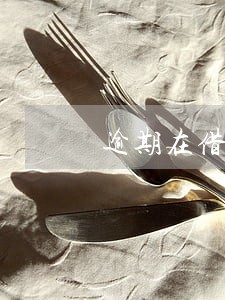逾期在借期内的利息计算 逾期在借期内的利息计算