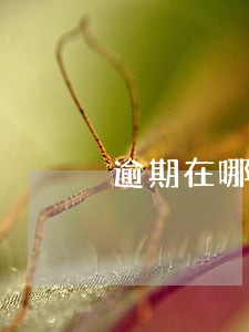 逾期在哪个平台可以借款 逾期在哪个平台可以借款