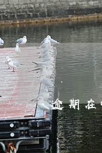 逾期在哪个银行可以处理 逾期在哪个银行可以处理