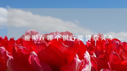 逾期在哪个银行能贷款买车 逾期在哪个银行能贷款买车
