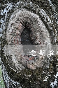 逾期在哪消除 逾期在哪消除